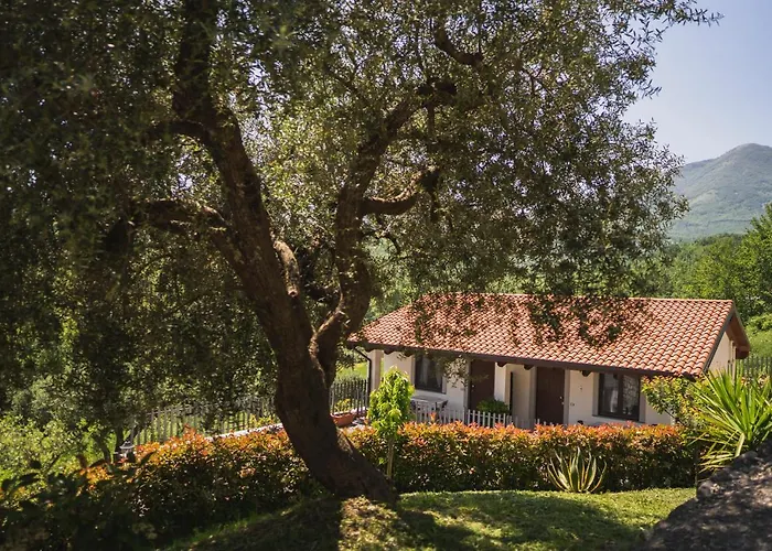 Agriturismo La Valle Degli Ulivi