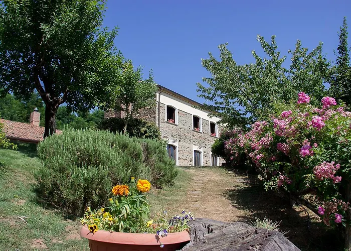 La Rosa Nel Bicchiere